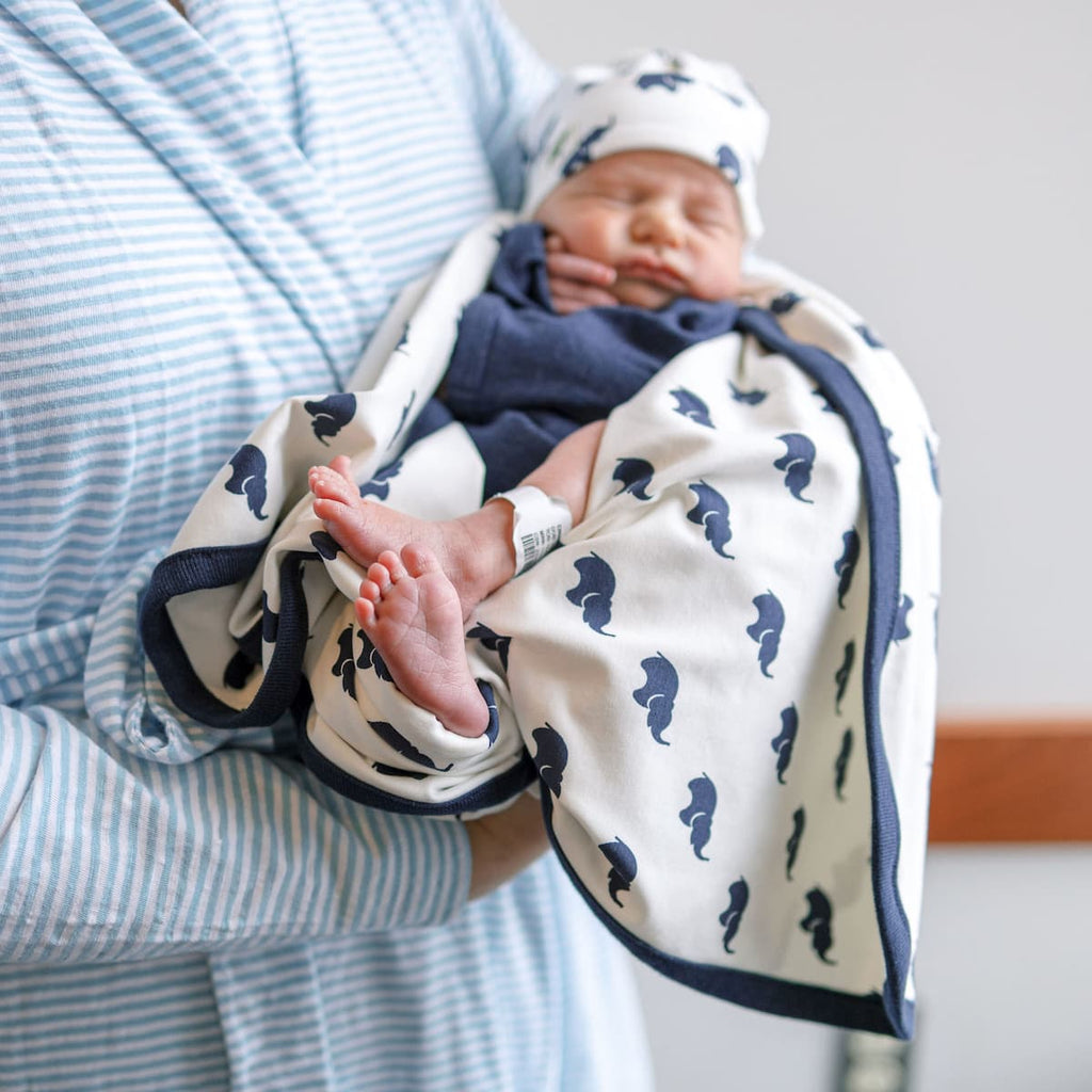 Pregnancy & Beyond: The Infant Microbiome with Dr. Payal Adhikari