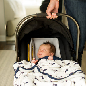 Car Seat Accessories for Newborns